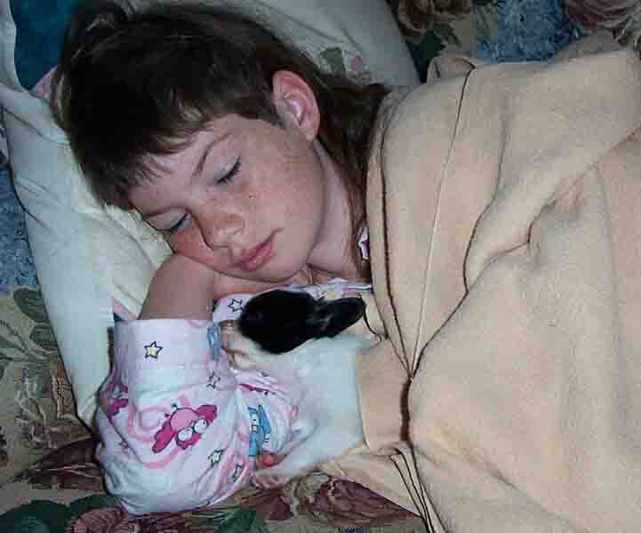 Robyn & baby Papillon