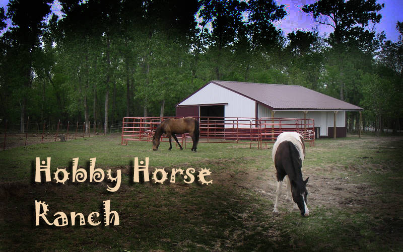 Hobby Horse Ranch