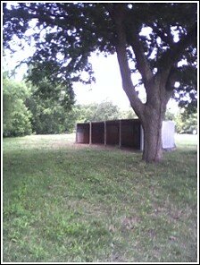 pasture with sheds