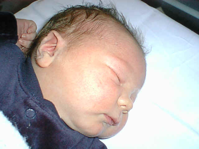 Henry - 28th January 2000