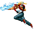 Terry Bogaurd, from Fatal Fury