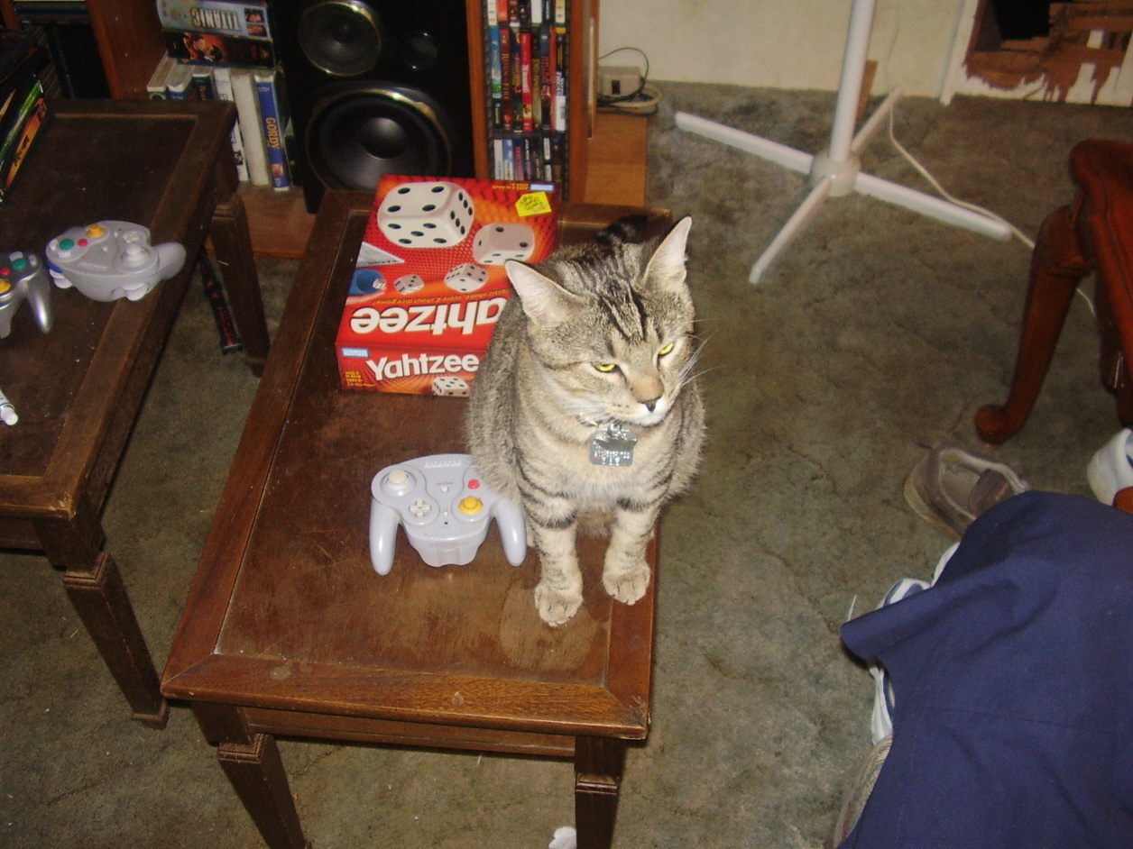 What do you mean you own me?
