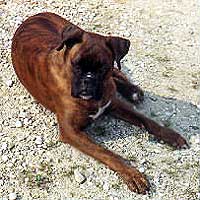 Aska