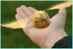 Up for a game of quidditch?