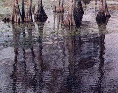 reflection