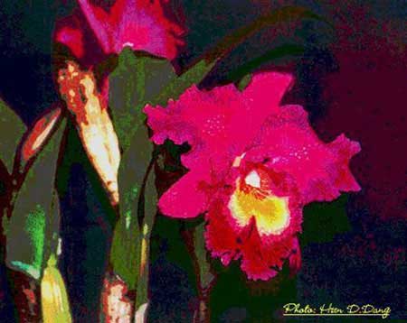 OrchidPainting
