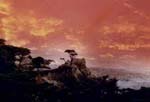 carmel