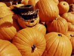haloween