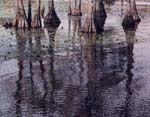 reflection