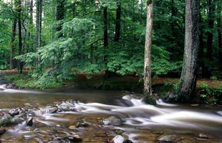 River109