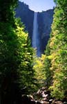 BridalVeil