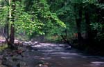 River102