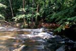 River119