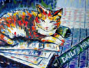 New York Daily News Cat