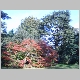 2008_jr_2199 image