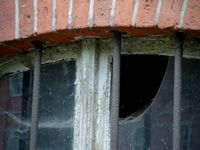 Fenster