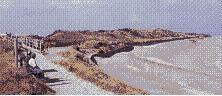 Beach at Chaple Point