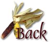 Back to Thanksgiving!