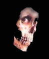 Enter the Haunted House if you are brave enough!