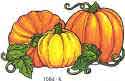 Is he behind the pumpkins?