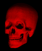Ha ha ha