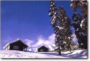Gulmarg in Winter