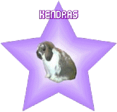 Holland Lops _ LionHeads