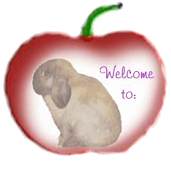 Holland Lops _ Am Fuzzy Lops _ LionHeads_and more