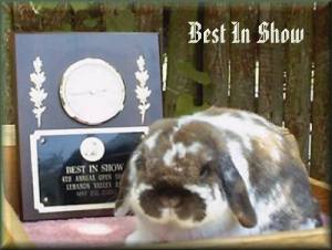 Click here to see more pics of Griffy with his plaque
