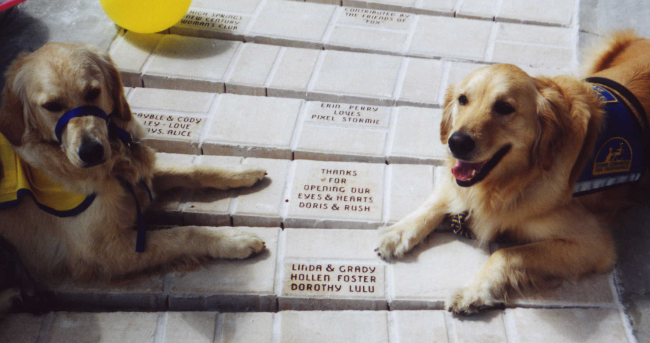 HLSEopeningbrick