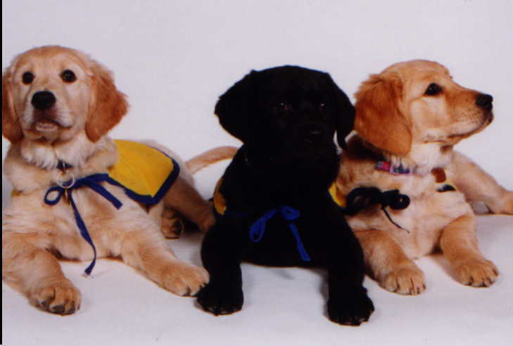 group photo