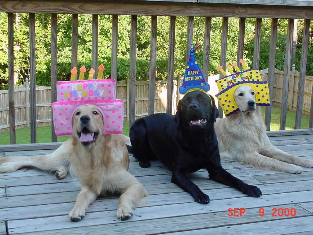 Birthday