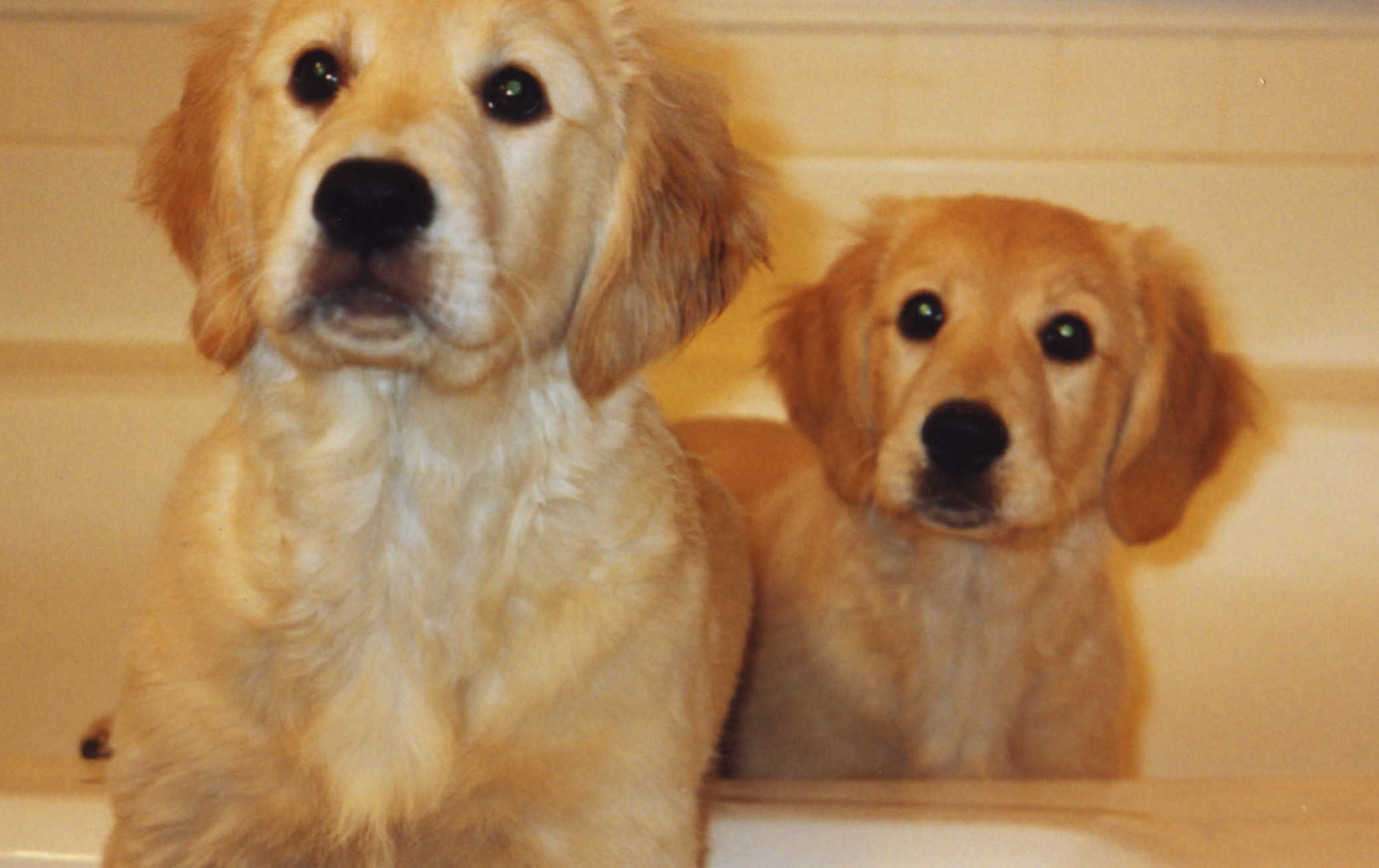 Tub