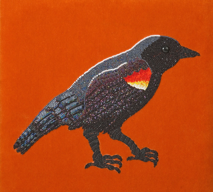 Red-wing Blackbird by Holley Bakich