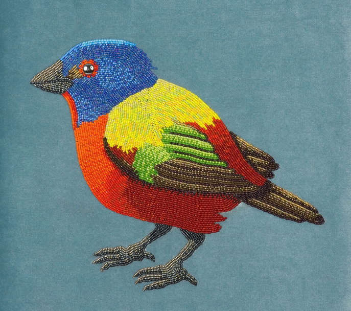 Painted Bunting by Holley Bakich