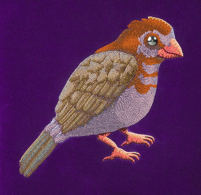 Purple Grenadier by Holley Bakich