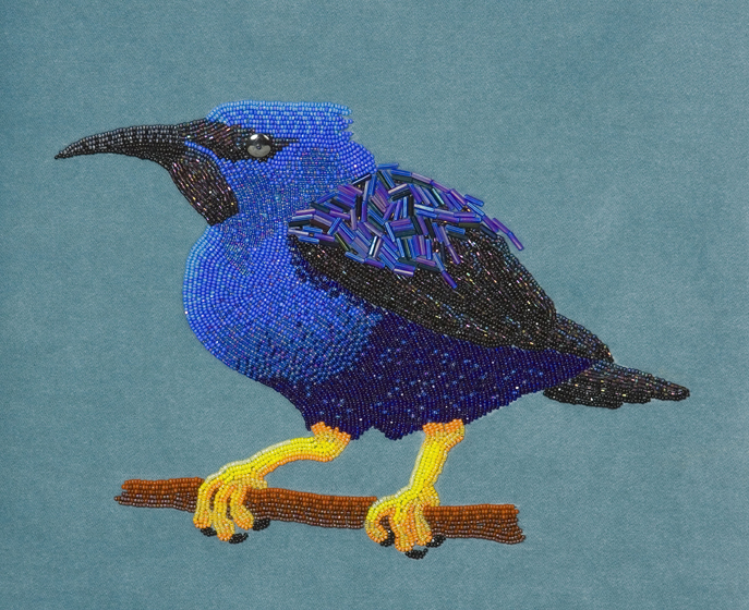 Purple Honeycreeper by Holley Bakich