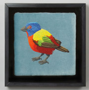 Painted Bunting by Holley Bakich