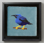 Honeycreeper by Holley Bakich