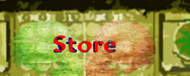 Store