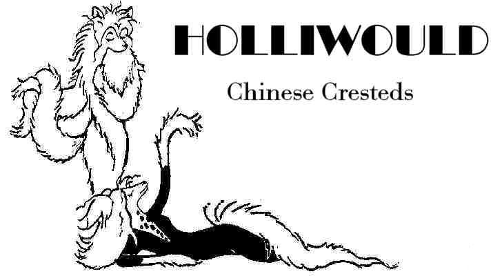 Holliwould