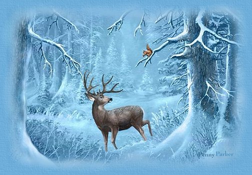 Deer