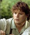Samwise Gamgee at your service master Frodo