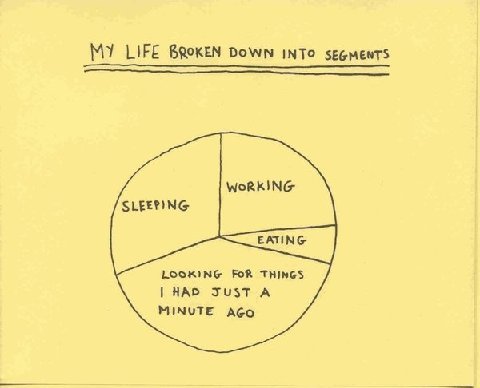 Senior Pie Chart