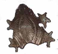 ancient arabian silver