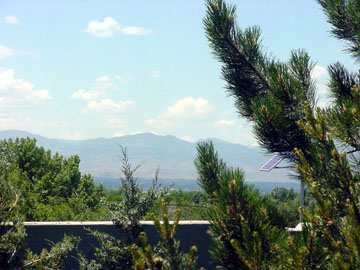 mt-view