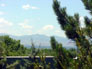 mt-view