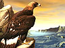 eagle1a.jpg