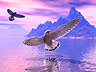 Loneflight2.jpg