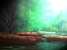 river.jpg